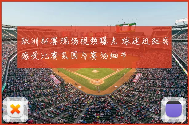欧洲杯赛现场视频曝光 球迷近距离感受比赛氛围与赛场细节
