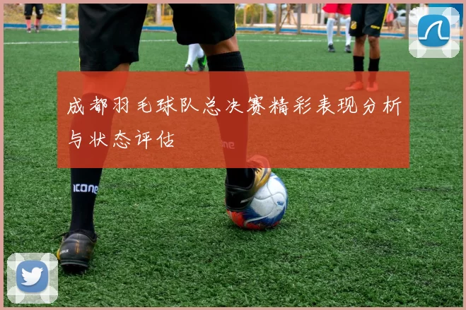 成都羽毛球队总决赛精彩表现分析与状态评估