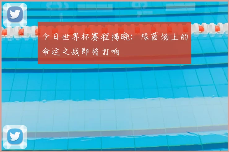 今日世界杯赛程揭晓:绿茵场上的命运之战即将打响