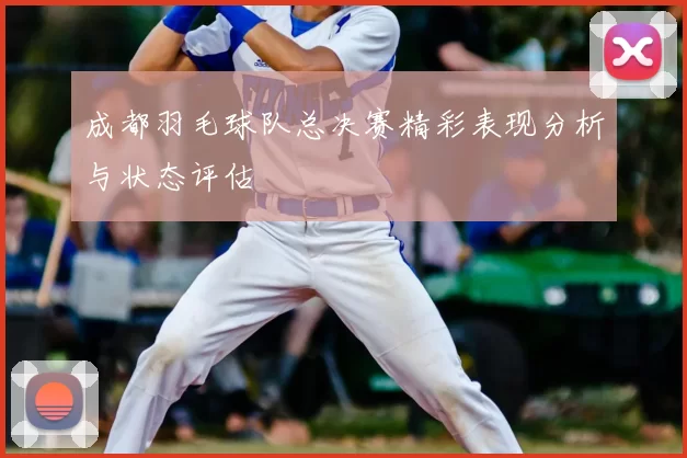 成都羽毛球队总决赛精彩表现分析与状态评估