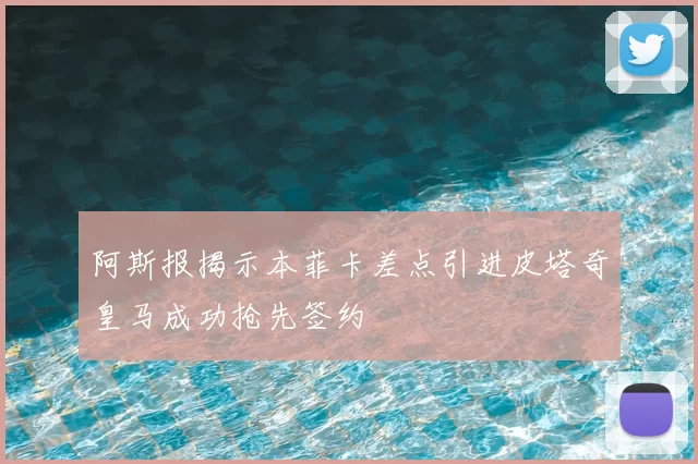 阿斯报揭示本菲卡差点引进皮塔奇皇马成功抢先签约