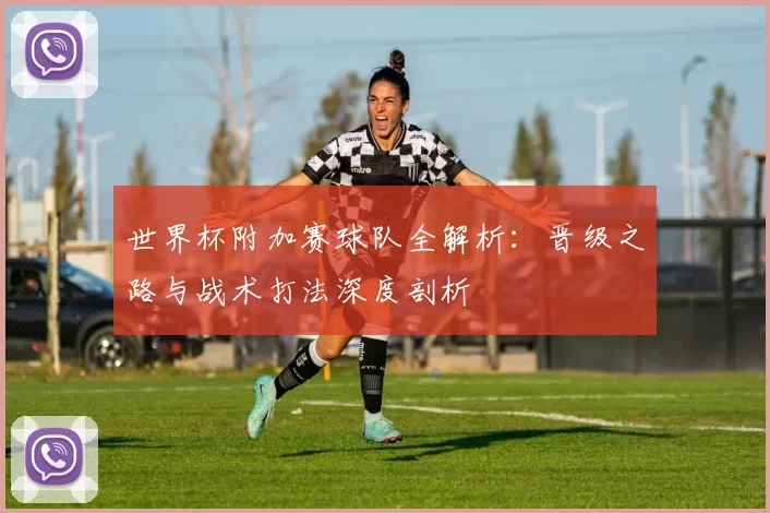 世界杯附加赛球队全解析:晋级之路与战术打法深度剖析