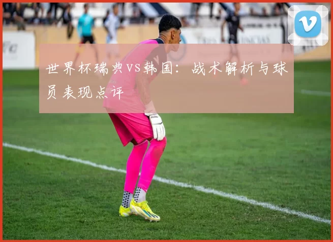 世界杯瑞典vs韩国：战术解析与球员表现点评