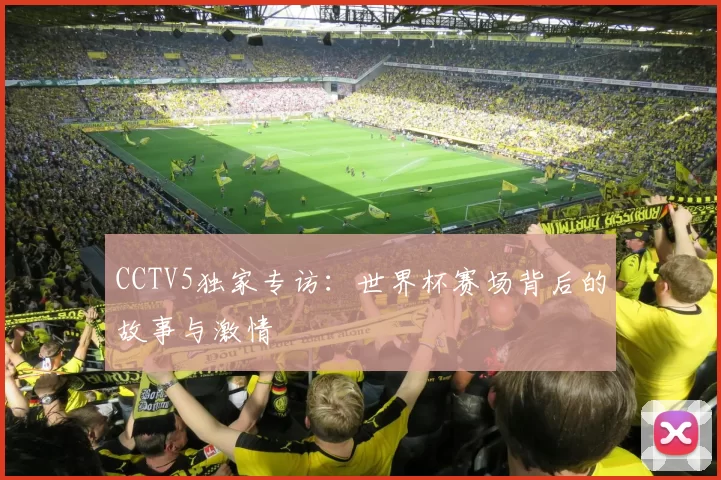 CCTV5独家专访:世界杯赛场背后的故事与激情