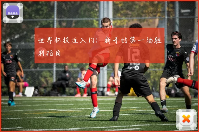 世界杯投注入门:新手的第一场胜利指南