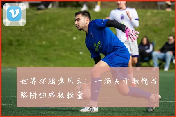 世界杯赌盘风云:一场关于激情与陷阱的终极较量