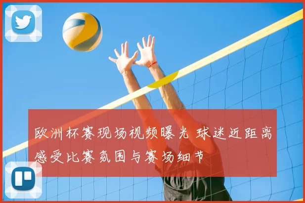 欧洲杯赛现场视频曝光 球迷近距离感受比赛氛围与赛场细节
