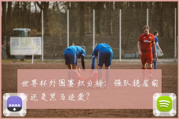 世界杯外围赛积分榜：强队稳居前列还是黑马逆袭？